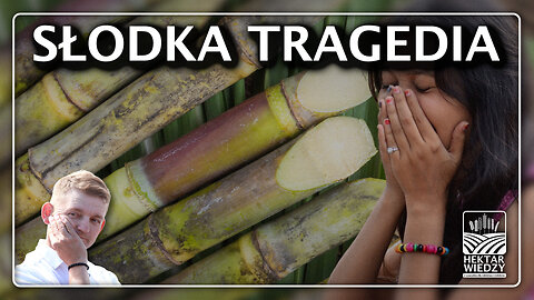 Słodka Tragedia | Cukier I INDIE | po polsku