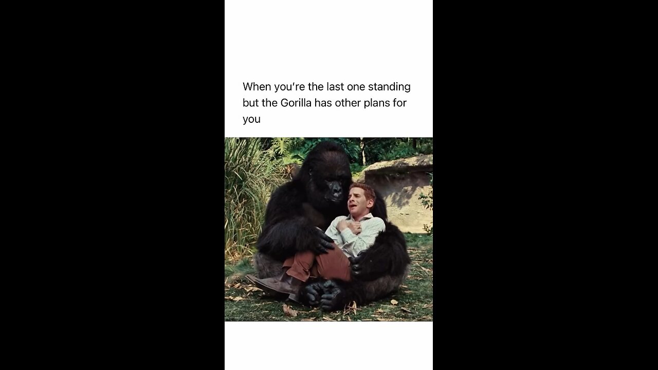 Last Gorilla has other plans for you 🦍🐒