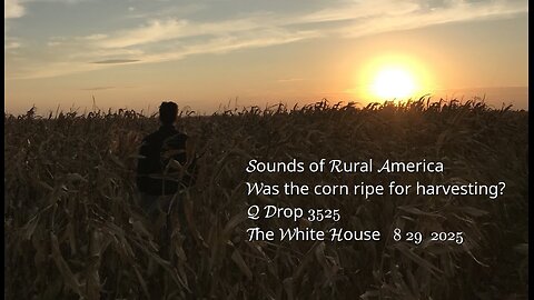 Sounds of Rural America- Was the corn ripe for harvesting?- Q Drop 3525 The White House 8 29 2025