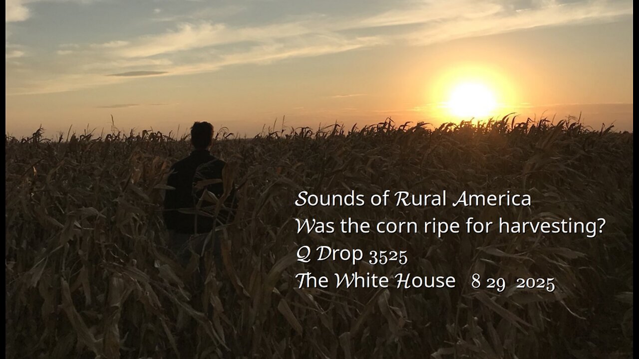 Sounds of Rural America- Was the corn ripe for harvesting?- Q Drop 3525 The White House 8 29 2025
