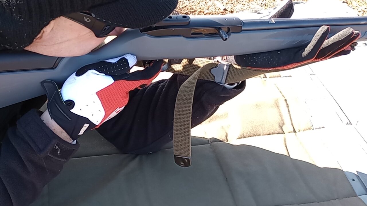 Ruger Micro 14 vs Ruger Mini 14 - AmbGun 10/22 Iron Sights Rifle Setup