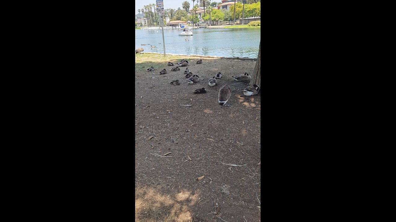 it's Nap time 💤💤