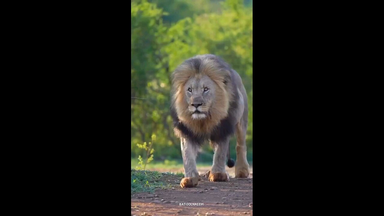 #foryoupage#viralvideo