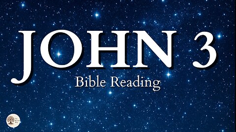 Book of John Chapter 3 | Peaceful Bible Gospel Audio Reading for Stillness and Scripture Meditation