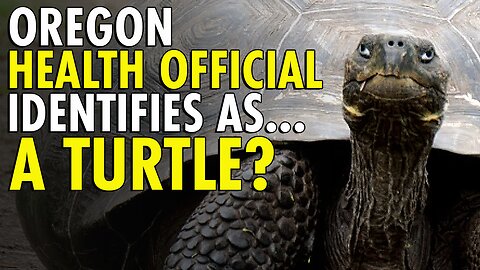 Oregon health advisory board member uses ‘they/them/turtle’ pronouns, identifies as "turtle"