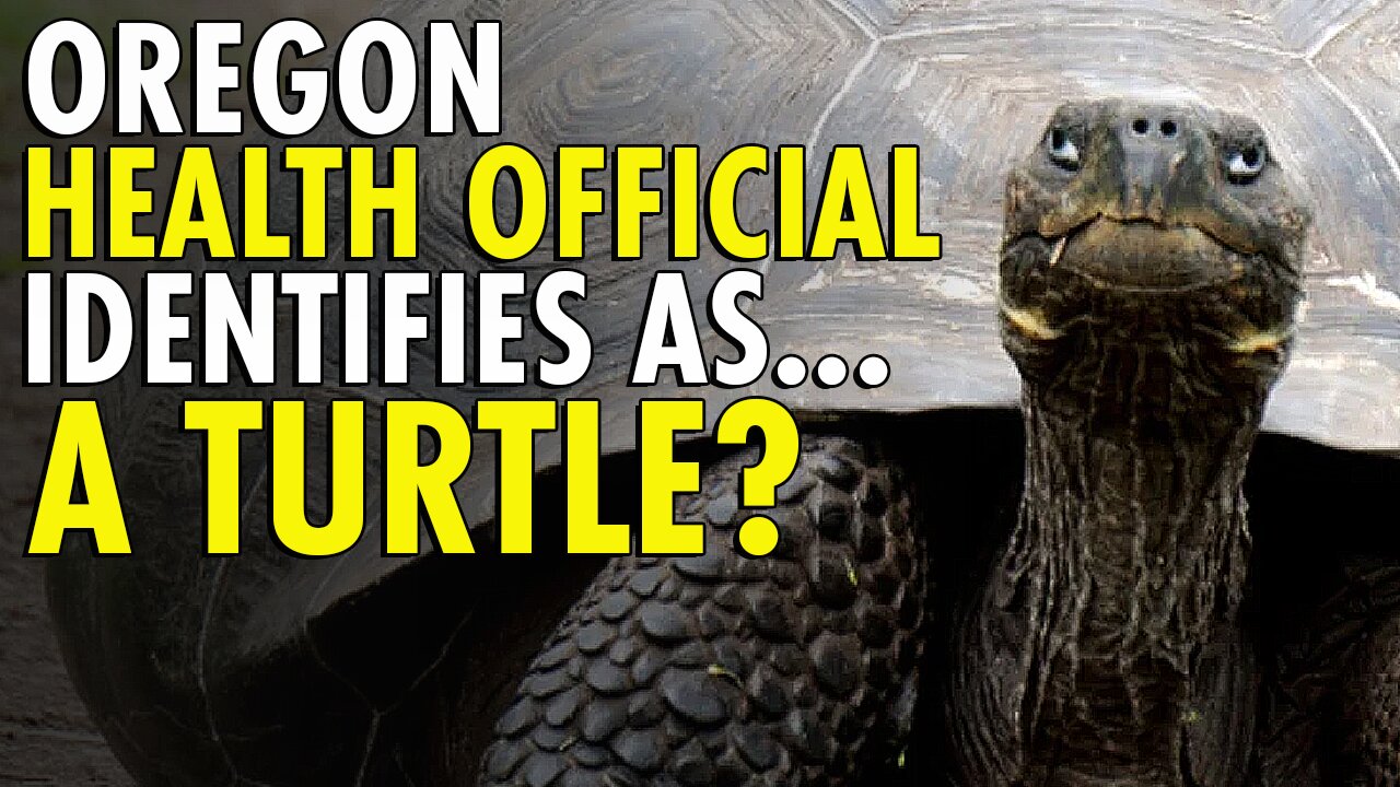 Oregon health advisory board member uses ‘they/them/turtle’ pronouns, identifies as "turtle"