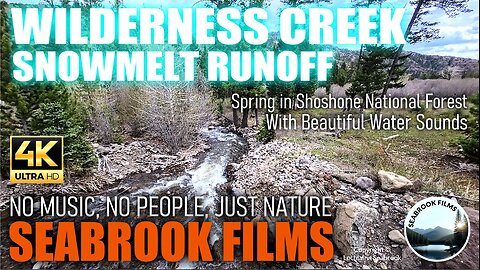 Wilderness Creek Snowmelt Runoff