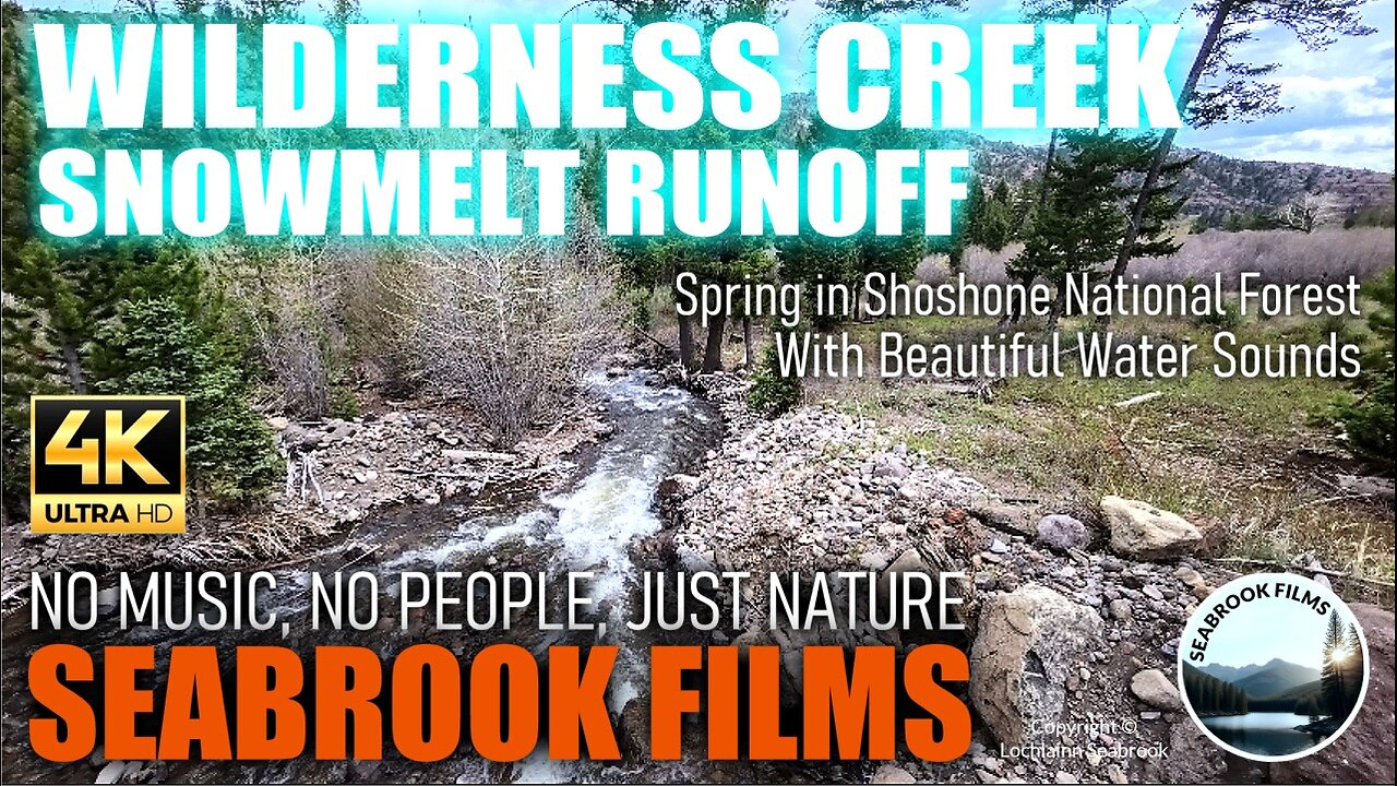 Wilderness Creek Snowmelt Runoff