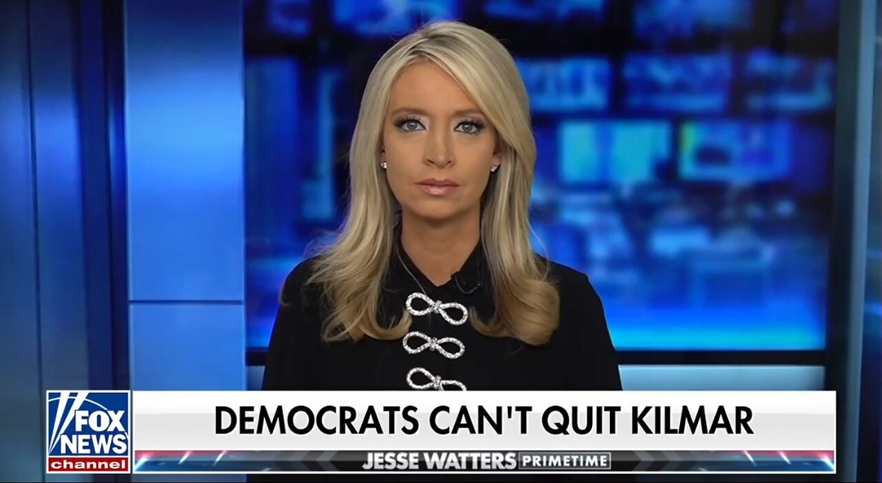 Kayleigh McEnany: GOP Baited The Democrats