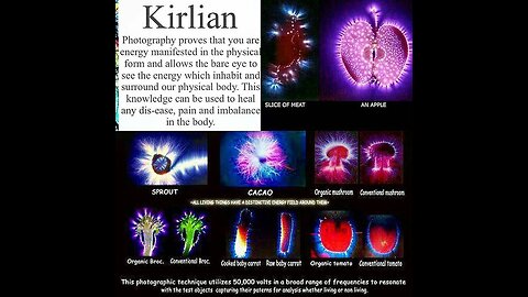 Aetheric Nutrition: Unlocking the Body’s Biofield with Raw Living Foods and Structured Light