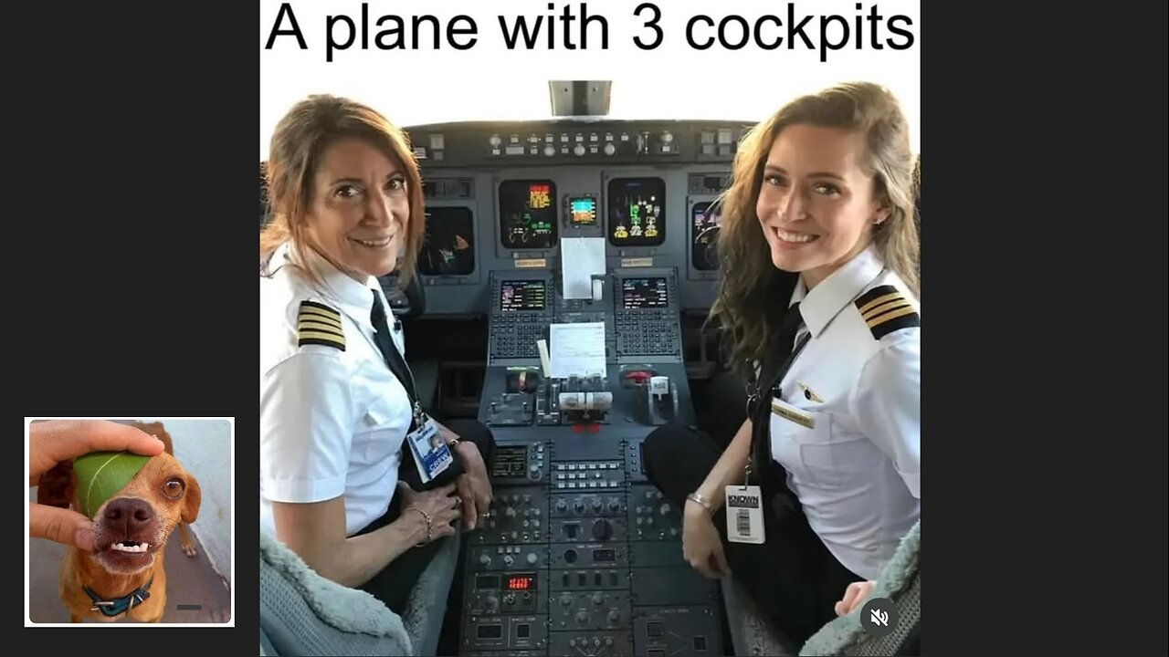 Memes That Will 99.0158% Make You Laugh. (e382)