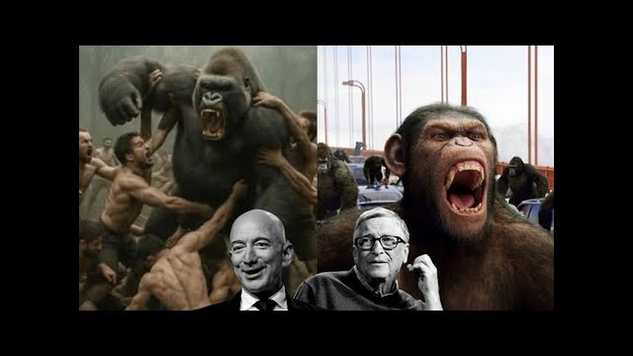 THE "WHO WOULD WIN 100 MEN VS 1 GORILLA" TREND! ARE WE BEING CONDITIONED FOR A SINISTER FUTURE EVENT