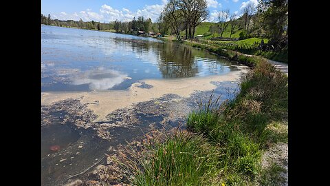 29.04.2025 Umweltskandale - Bad Bayersoien See - Zulauf voll mit Eisennocker - Teil 3