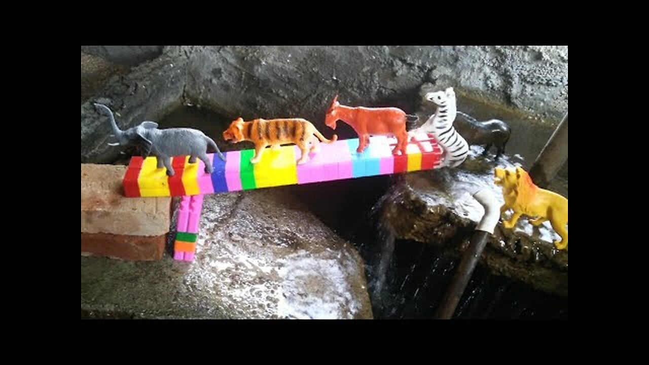 Mencari mainan hewan gajah, zebra, singa, kuda, harimau dan kambing