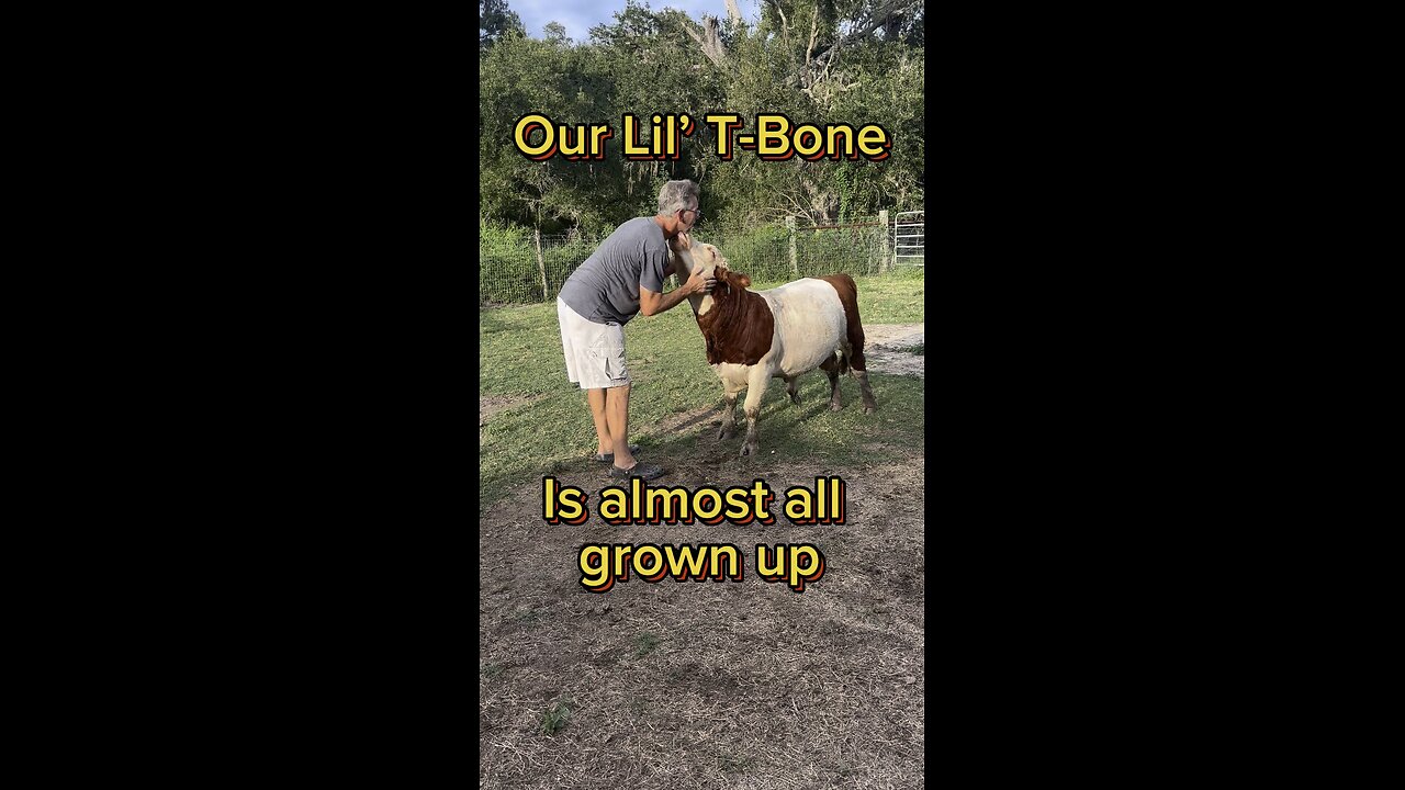 Our Lil’ T-Bone is turning one year old!