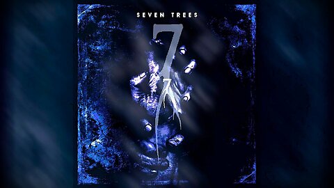 SEVEN TREES: 2013 - 2022