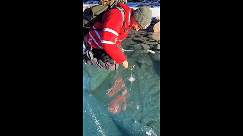 Ice Thickness Testing