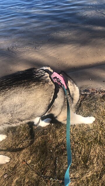 Friday April 4, He fed you with Mana￼