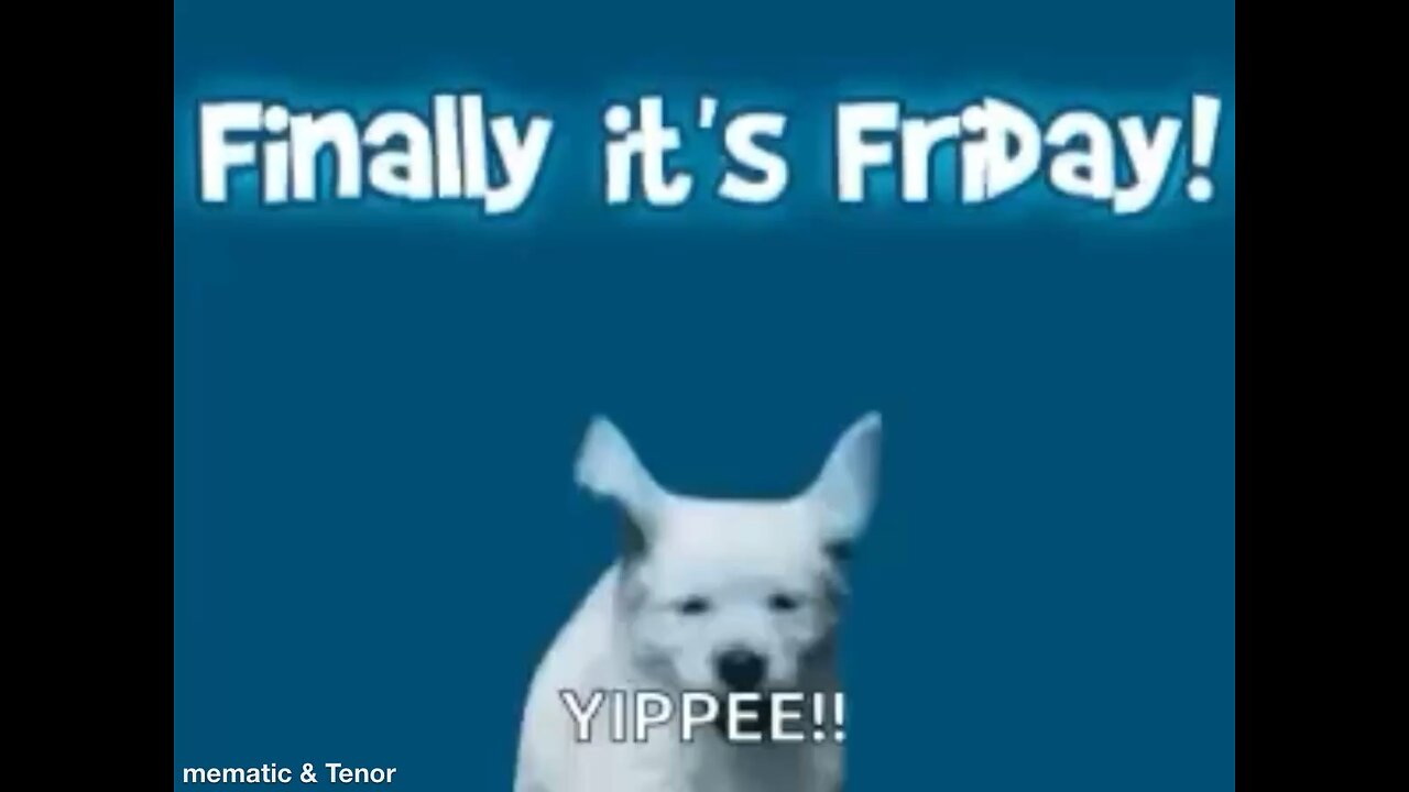 Happy Friday Everyone