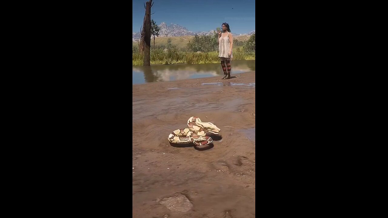 lion attack