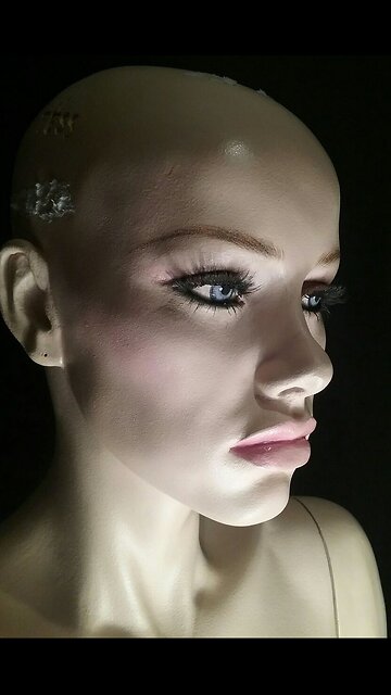 the house of mannequins: the end of madness