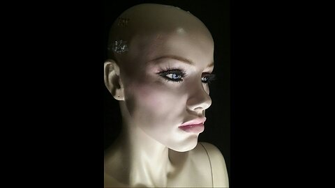 the house of mannequins: the end of madness