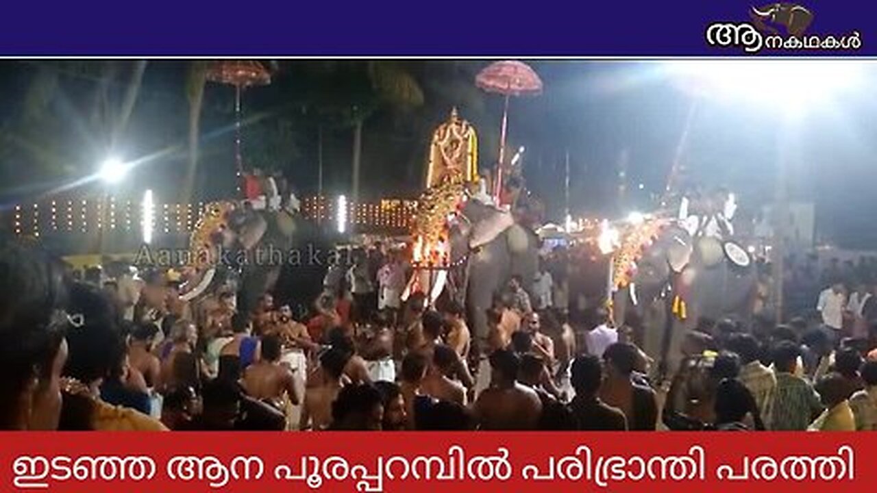 ഇടഞ്ഞ ആന മറ്റുള്ള ആനകളെയും കുത്തി _ Elephant attack kerala 2025