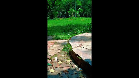 Stuck, waiting for the perfect moment?