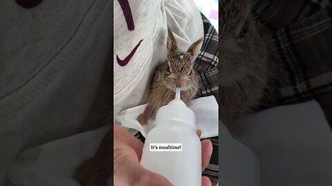 The guy was shocked by the gift his dog brought him