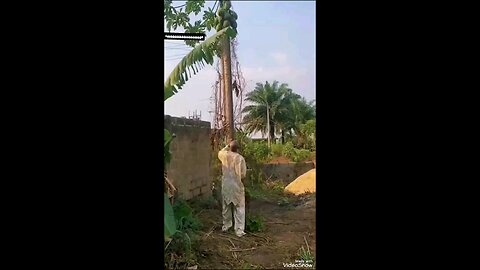uncle ji dard mat hua