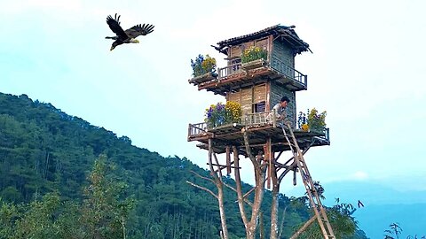 Incredible Bamboo Treehouse in the Mountains | Off-Grid Living with Nature Sounds & Eagle Flyover