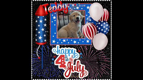 Golden Retrievers: Hearts of Gold - Independence Day 2025