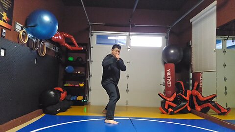 WTD Mantis Kick to Hook Kick sequential