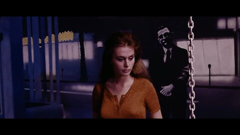 Messiah Of Evil Highlights