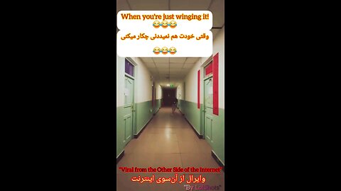 When you're just winging it!"وقتی خودت هم نمیدونی چکار میکنی