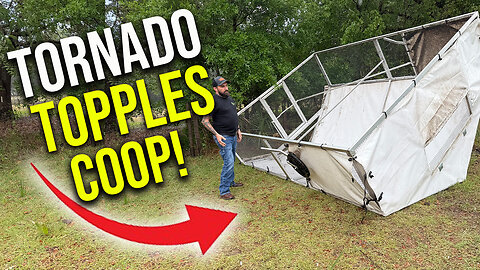 Tornado topples our chicken coop!