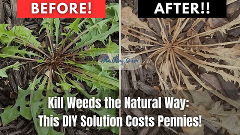 🌿Kill Weeds the Natural Way This DIY Solution Costs Pennies! #gardenhacks #momhacks