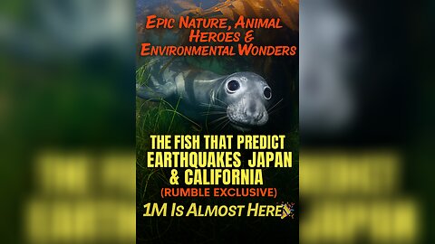 The Fish That Predict Earthquakes in Japan & California (Rumble Exclusive)