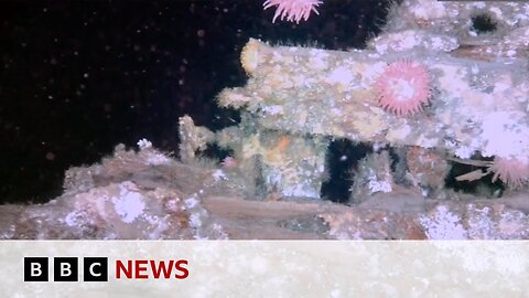 Terra Nova polar shipwreck filmed in detail for first time | BBC News
