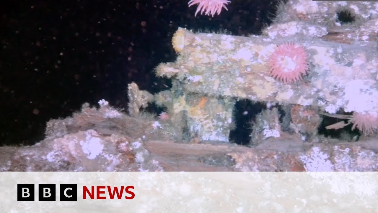 Terra Nova polar shipwreck filmed in detail for first time | BBC News