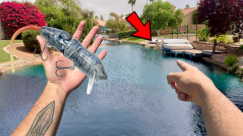 Fishing for BIG Urban Bass w/ RAT Lures!