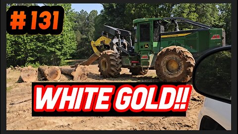 Logging A Tract Of White Oak‼️