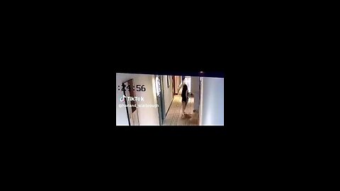 "Shocking Footage: Hunter Biden Captured 'Dragging a Girl' into Hotel Room"