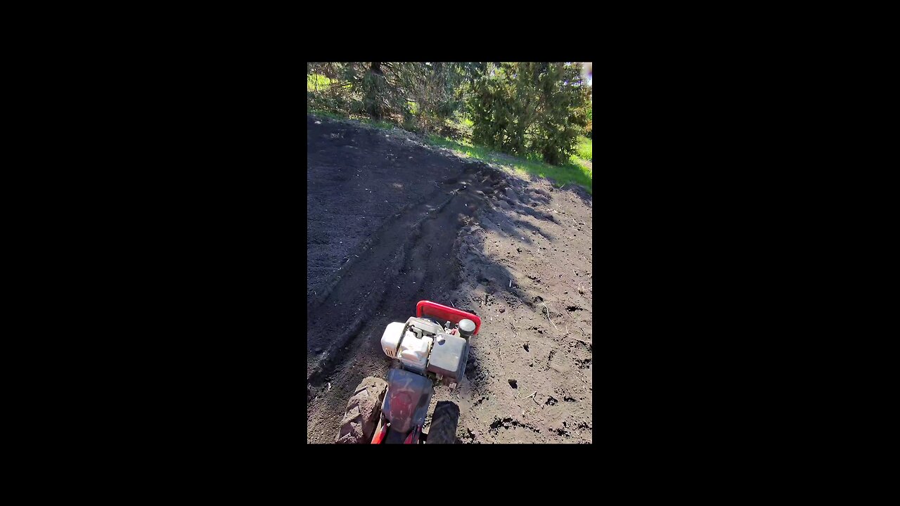 aint no country bo reel