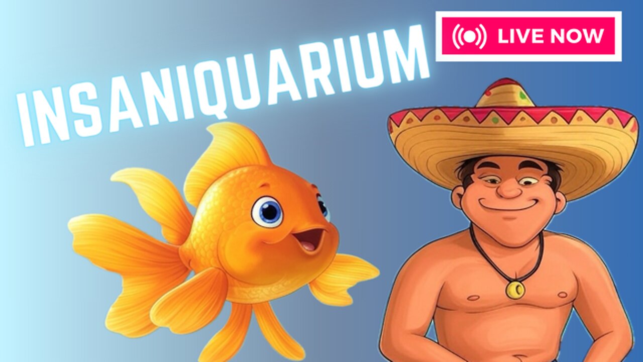 INSANIQUARIUM show down!!!