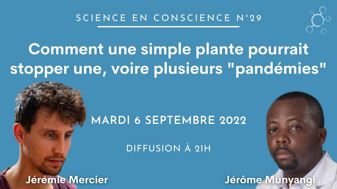 Comment une simple plante pourrait stopper une, voire plusieurs "pandémies"