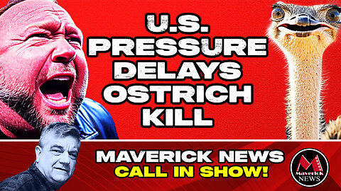 U.S. Political Pressure Delays B.C. Ostrich Cull | Maverick News LIVE with Rick Walker