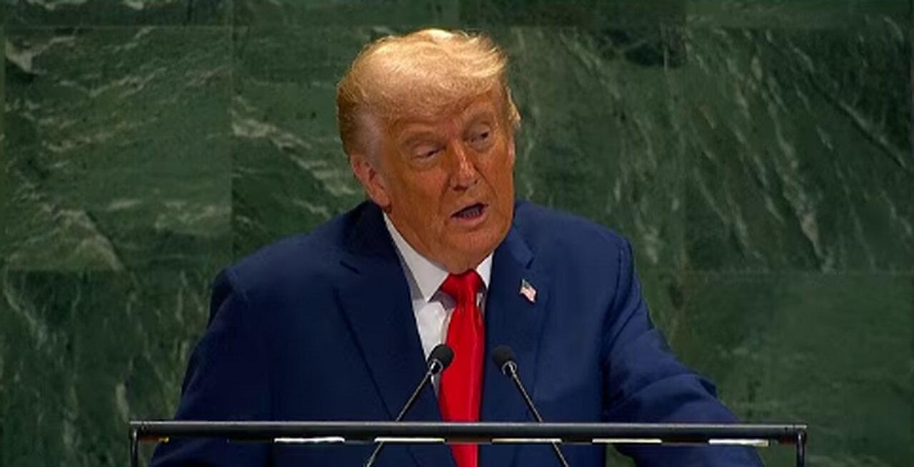 _Your countries are going to hell_ over _failed experiment_ of open borders, Trump warns UN nations