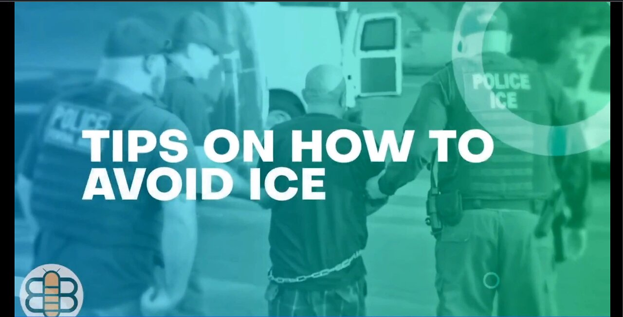 How to Avoid ICE - The Bee
