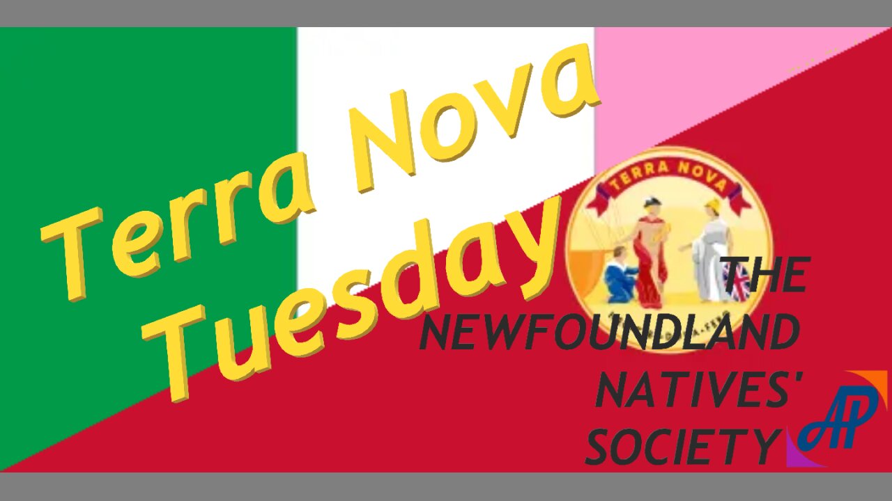 Terra Nova Tuesday - The Newfoundland Natives' Society